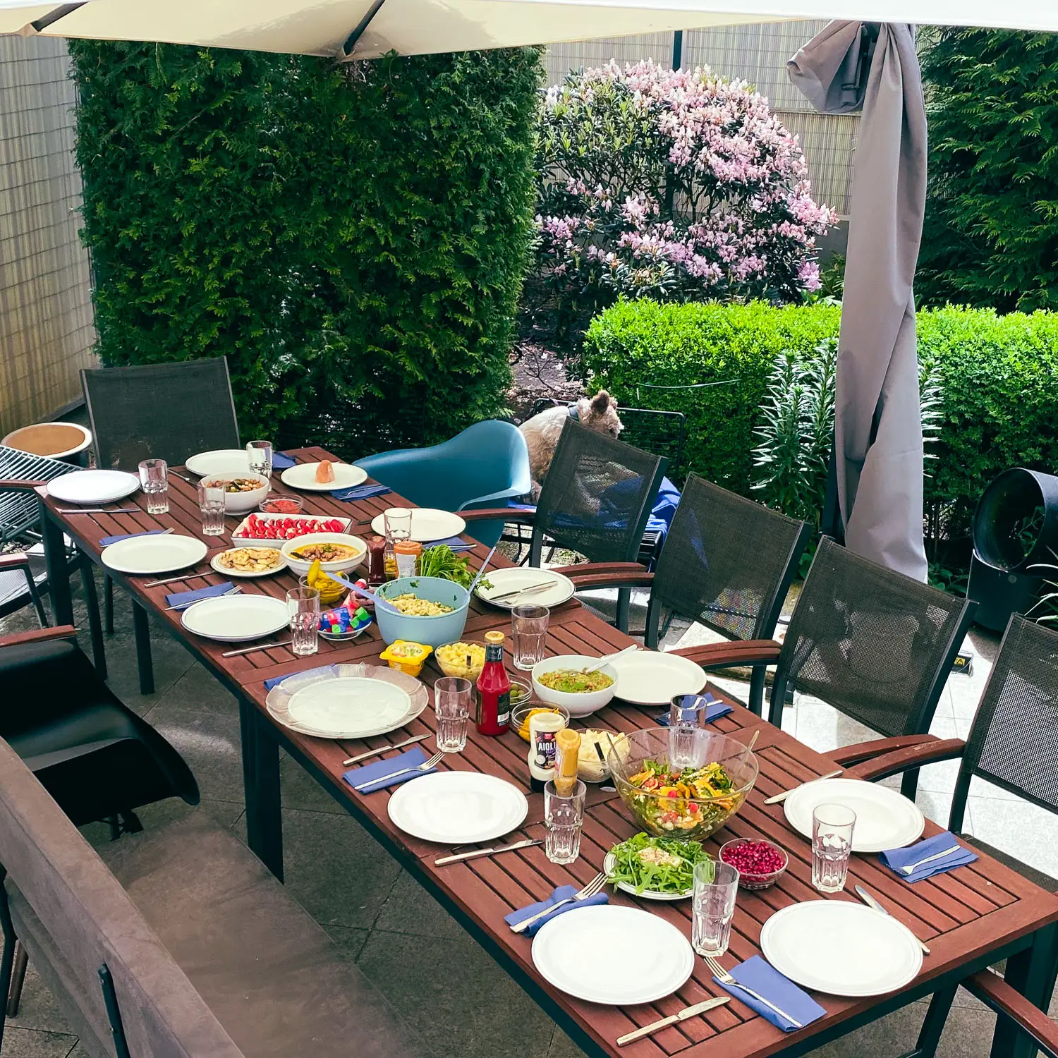 NEWS_TEAMGRILLEN_FEHR-1